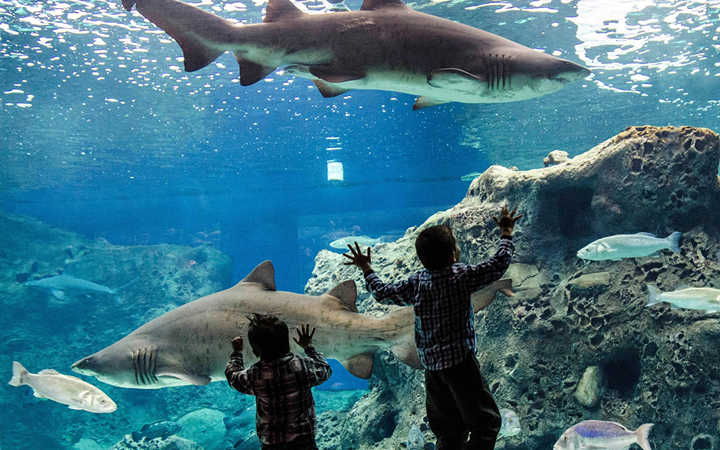 CRETAQUARIUM. Κρήτη
