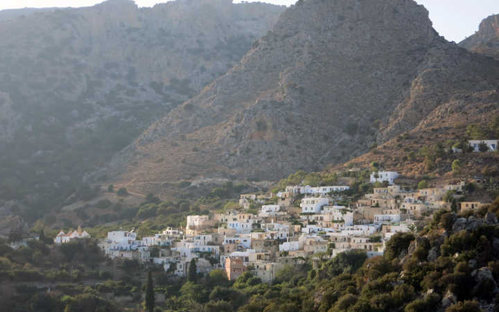 Πεύκη, Κρήτη