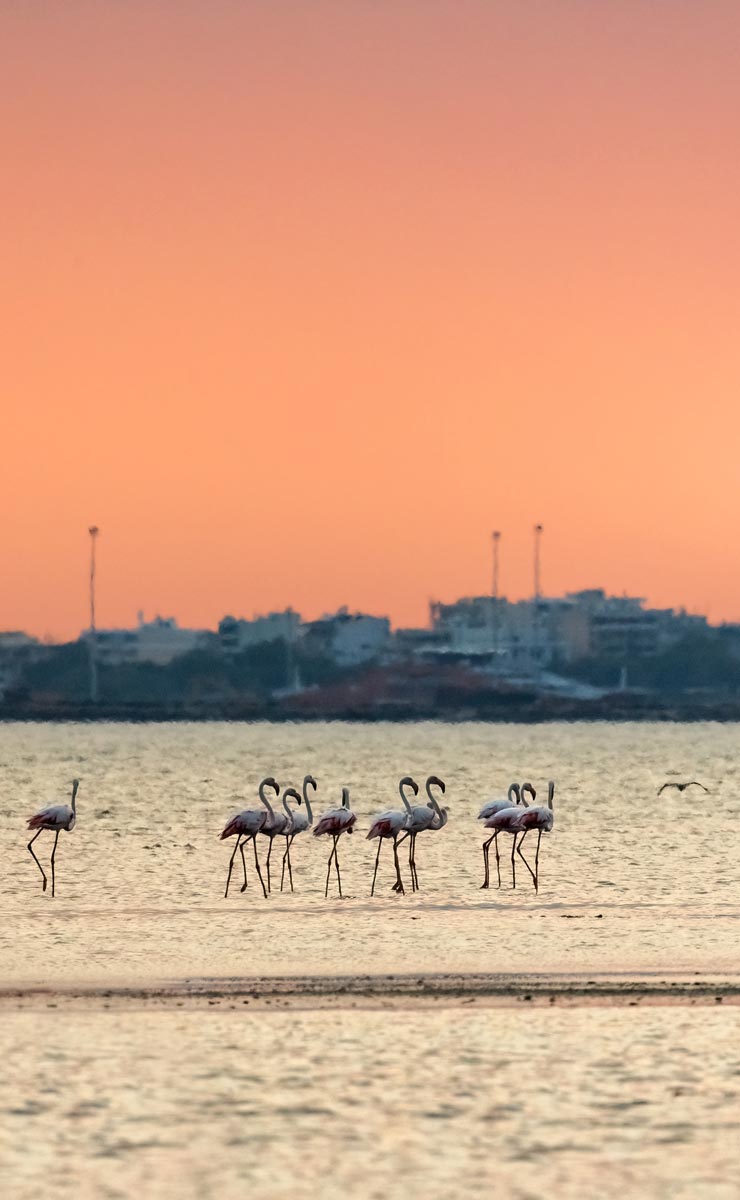Αλεξανδρούπολη