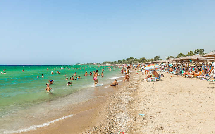 Флогита